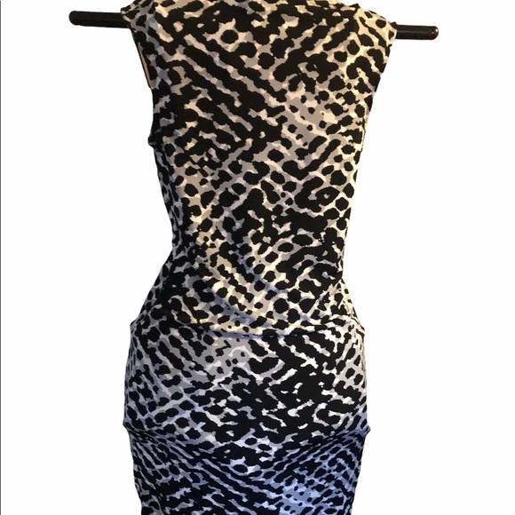 Animal Print Shift Dress - Picture 5 of 6